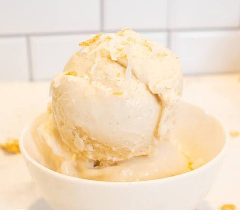 ninja creamy high protein ice cream